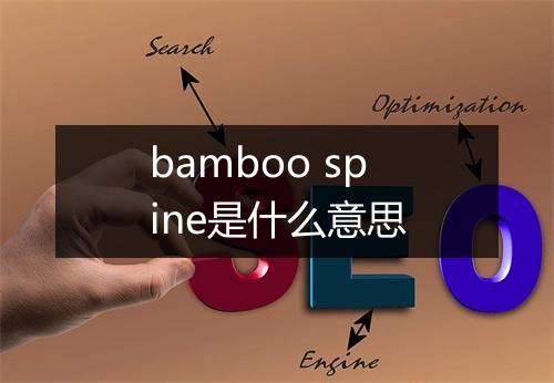 bamboo spine是什么意思