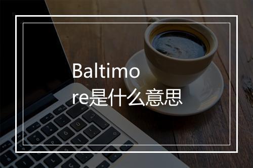 Baltimore是什么意思