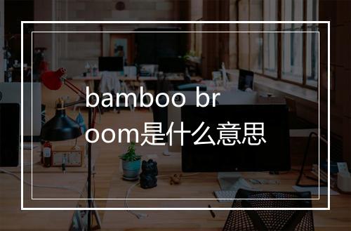 bamboo broom是什么意思