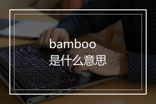 bamboo是什么意思