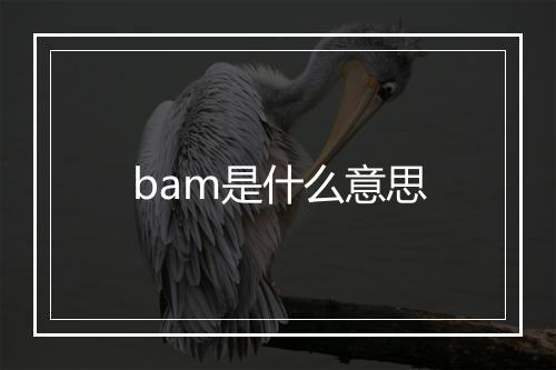 bam是什么意思