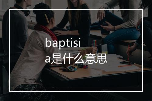 baptisia是什么意思