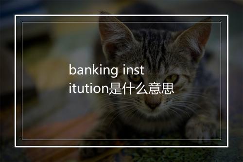 banking institution是什么意思