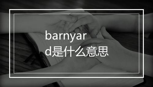 barnyard是什么意思