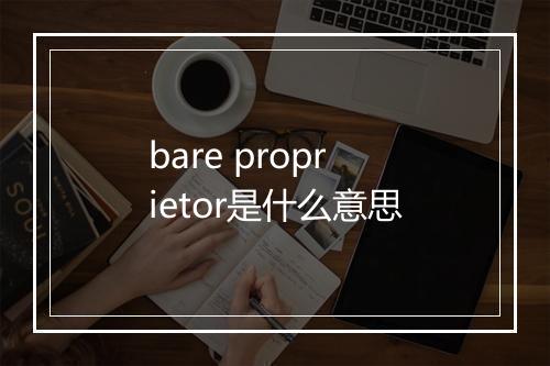 bare proprietor是什么意思