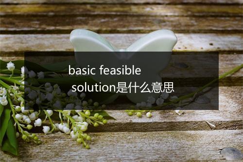 basic feasible solution是什么意思