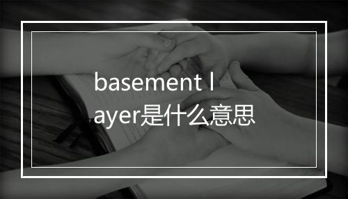 basement layer是什么意思