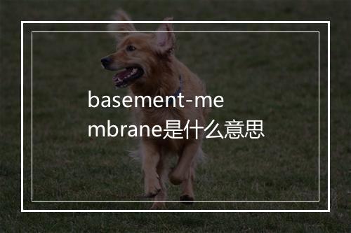 basement-membrane是什么意思