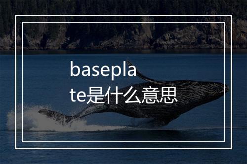 baseplate是什么意思