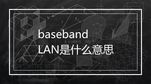 baseband LAN是什么意思