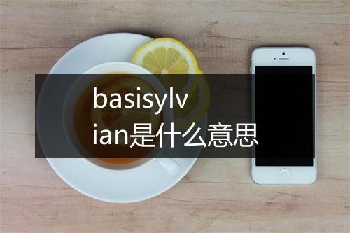 basisylvian是什么意思