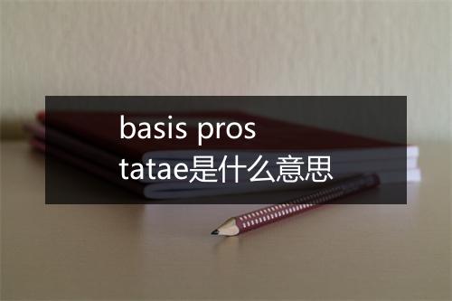 basis prostatae是什么意思