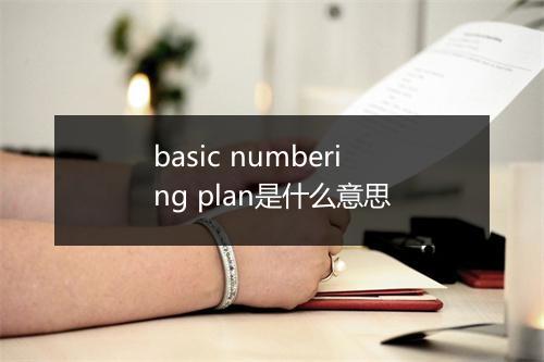 basic numbering plan是什么意思