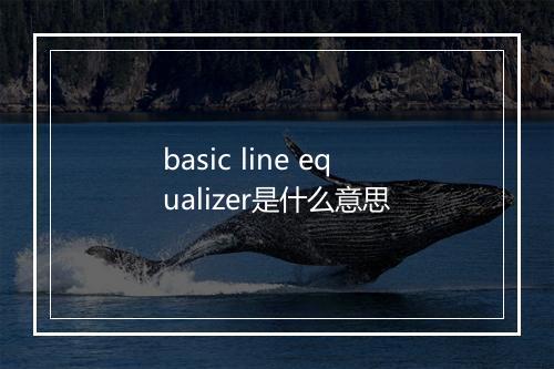 basic line equalizer是什么意思