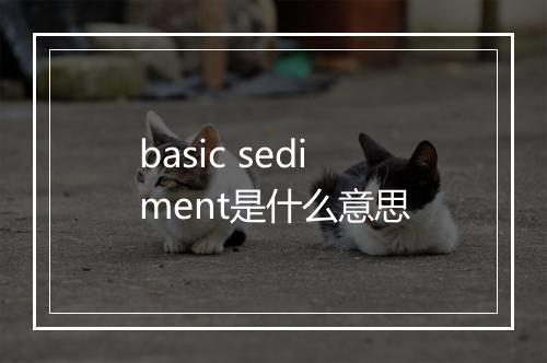 basic sediment是什么意思