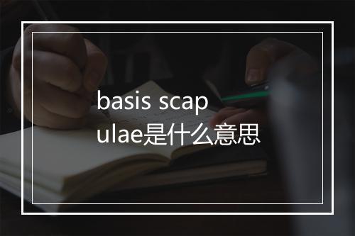 basis scapulae是什么意思