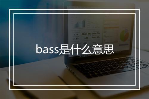 bass是什么意思