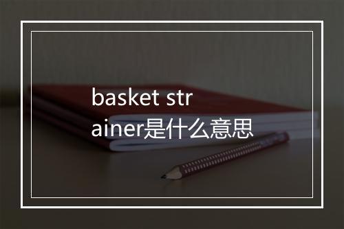 basket strainer是什么意思