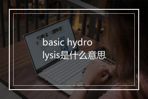 basic hydrolysis是什么意思