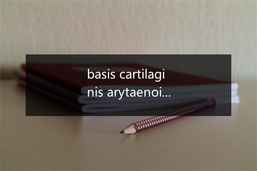 basis cartilaginis arytaenoideae是什么意思