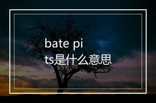 bate pits是什么意思