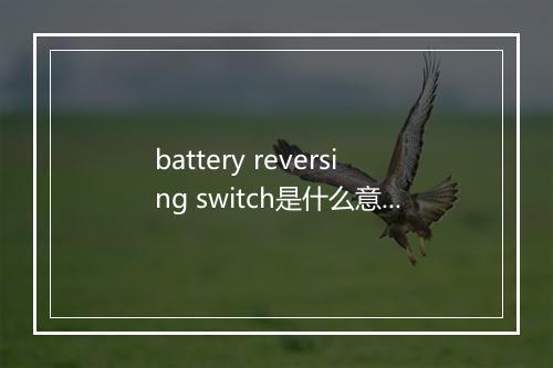 battery reversing switch是什么意思