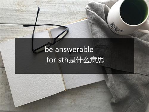 be answerable for sth是什么意思