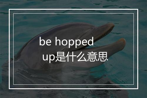 be hopped up是什么意思