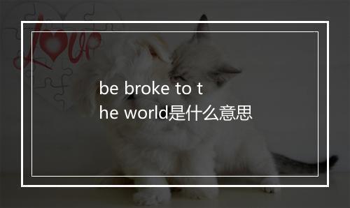 be broke to the world是什么意思