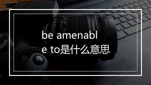 be amenable to是什么意思