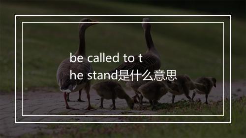 be called to the stand是什么意思