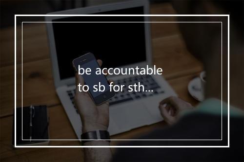 be accountable to sb for sth是什么意思