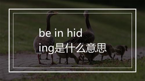 be in hiding是什么意思