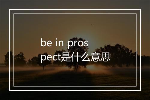 be in prospect是什么意思