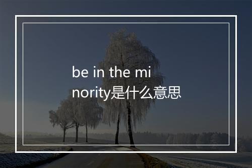 be in the minority是什么意思