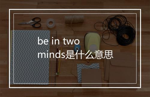 be in two minds是什么意思