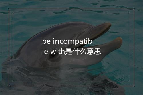 be incompatible with是什么意思