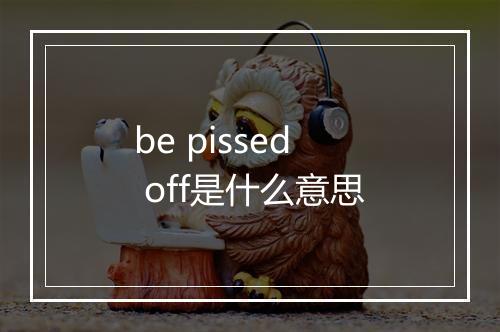 be pissed off是什么意思