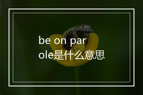 be on parole是什么意思