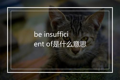 be insufficient of是什么意思