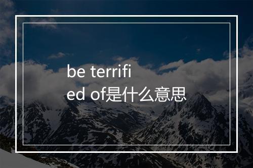 be terrified of是什么意思