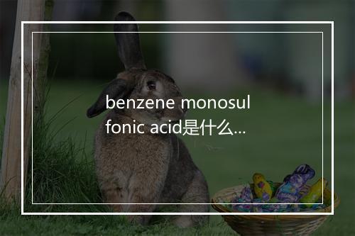 benzene monosulfonic acid是什么意思