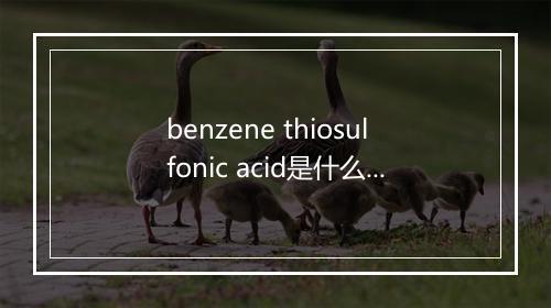 benzene thiosulfonic acid是什么意思