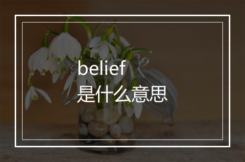 belief是什么意思