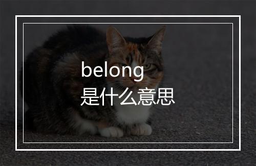 belong是什么意思