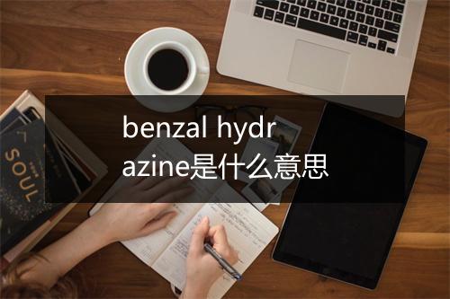 benzal hydrazine是什么意思