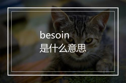 besoin是什么意思