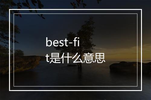 best-fit是什么意思