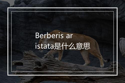 Berberis aristata是什么意思