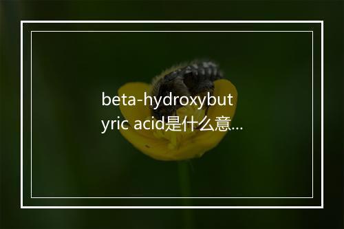 beta-hydroxybutyric acid是什么意思